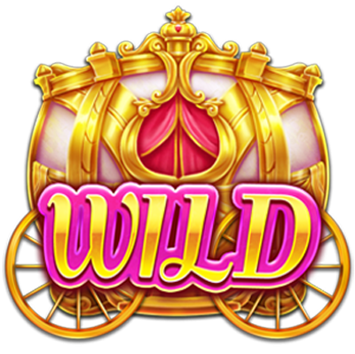 WILD圖示說明