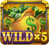 WILDx5